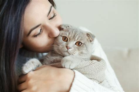 飼っては いけない 猫ランキング: なぜ彼らは私たちの心を奪うのか？