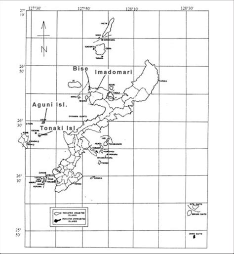 沖縄 風俗 体験入店：異文化の交差点としての新たな視点