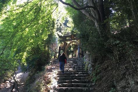 東京田舎ランキング：都会の喧騒を逃れて、田舎の魅力を再発見